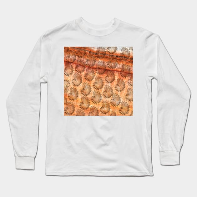 Earthy Nautilus Shells Long Sleeve T-Shirt by Minxylynx4